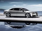 The 2011 Audi A5